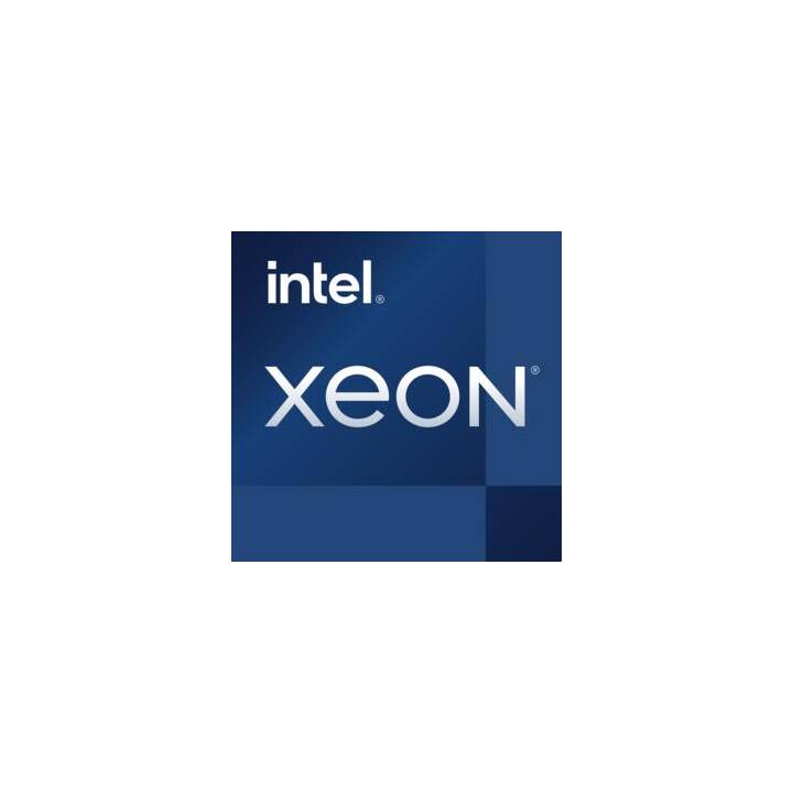 DELL PowerEdge T350 (Intel Xeon E, 16 GB, 2.8 GHz)
