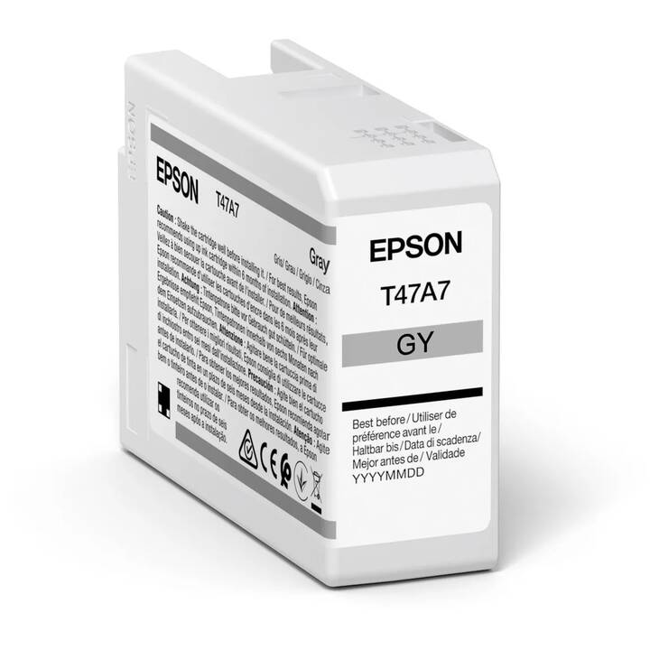 EPSON T47A700 (Gris, 1 pièce)