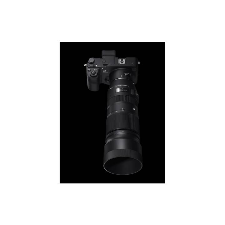 SIGMA DG OS HSM - Contemporary (CANON EF) 100-400mm F/5-6.3 (EF-Mount)