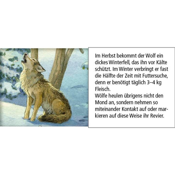 Produktbild 3