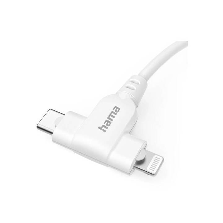 HAMA Câble (USB C, USB de type C, Lightning, 15 m)