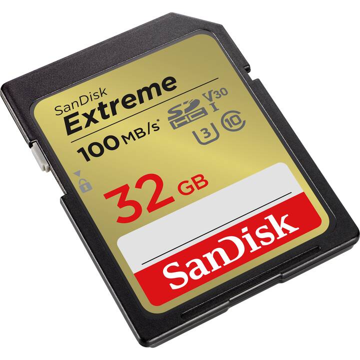 SANDISK SDHC Extreme (Class 10, 32 Go, 100 Mo/s)