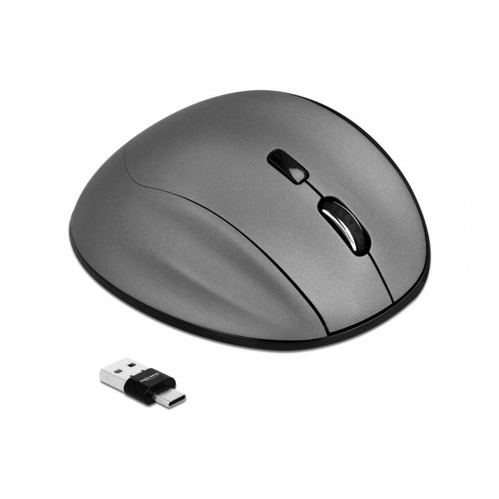 DELOCK 12016 Mouse (Senza fili, Office)