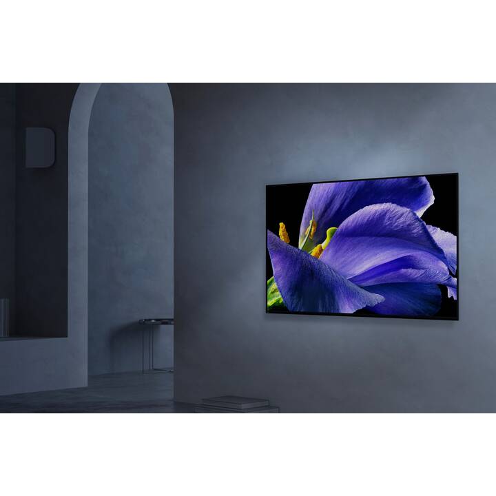 SONY KD65AG9 Smart TV (65", OLED, Ultra HD - 4K)