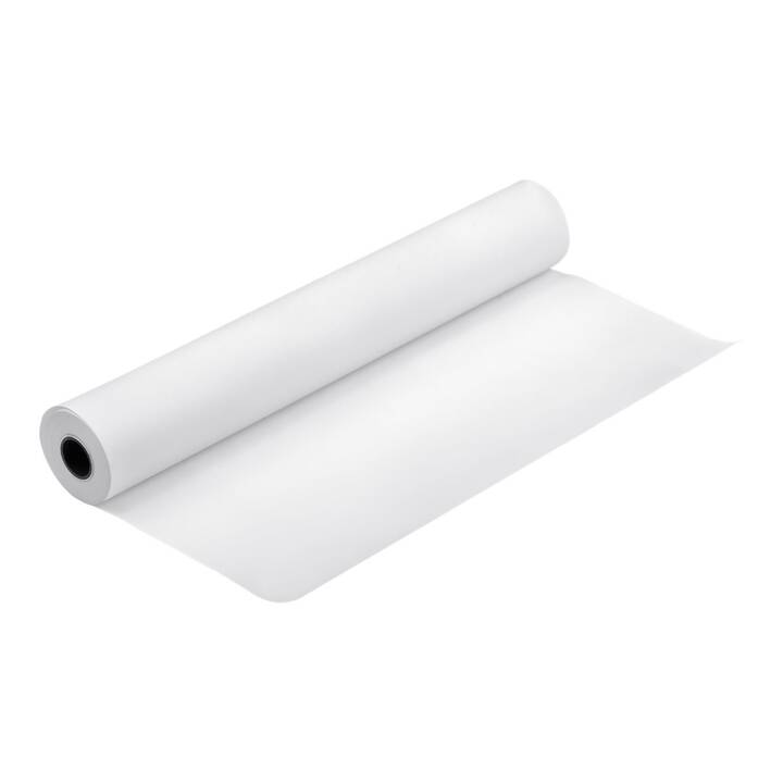 EPSON Papier jet d'encre (1 pièce, A1, 120 g/m2)