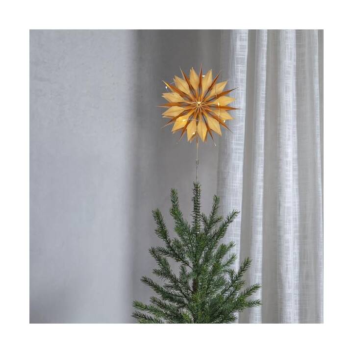 STAR TRADING Puntale per albero di Natale Flinga (Transparente, Oro)