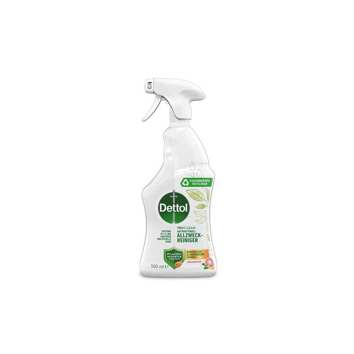 DETTOL Detergente multiuso (500 ml)