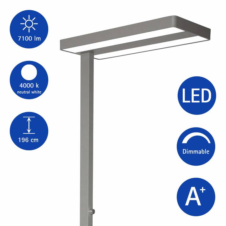 MAUL Lampada a stelo MAULjaval (196 cm)