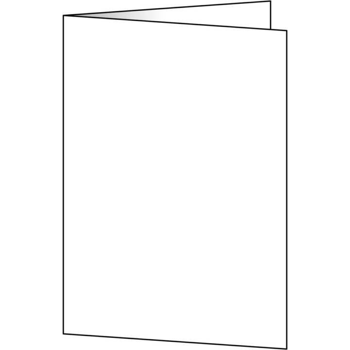 SIGEL Cartes en blanc (Universel, A5, Blanc)