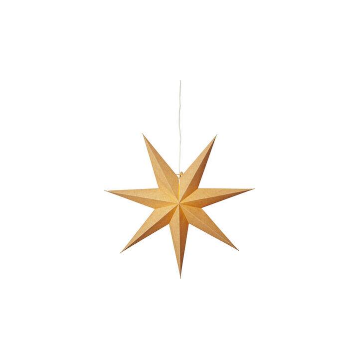STAR TRADING Décoration de Noël à suspendre (Étoile)