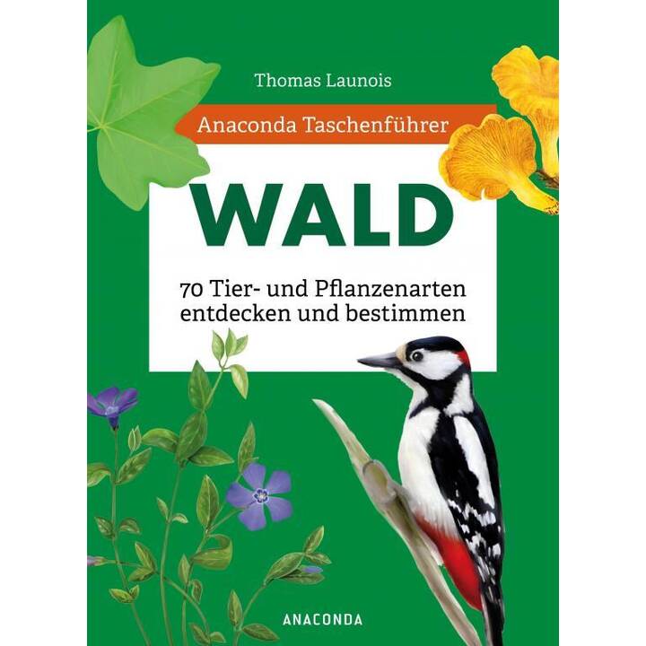 Anaconda Taschenführer Wald