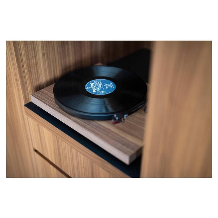PRO-JECT AUDIO SYSTEMS Debut Carbon EVO Tourne-disque (Brillant noir)