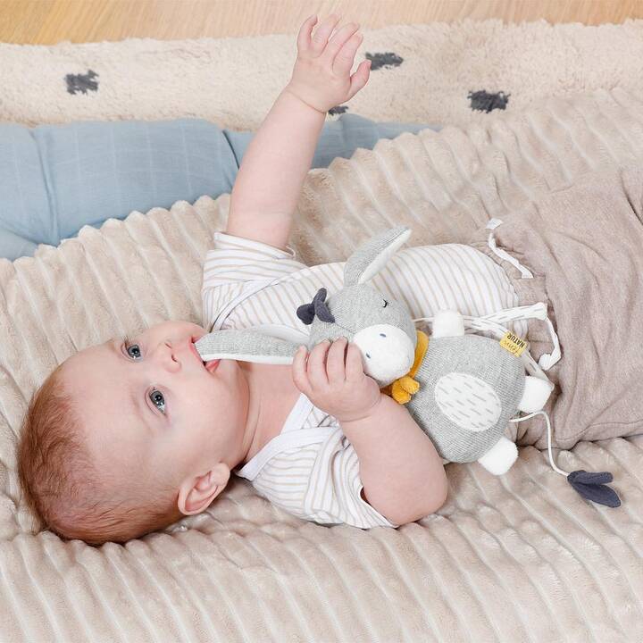 FEHN Jouets musicaux à tirer pour bébé Mini Ane