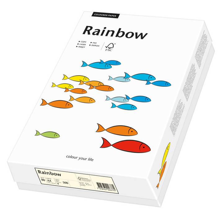 PAPYRUS Rainbow Papier Farbiges Papier (250 Blatt, A4, 160 g/m2)