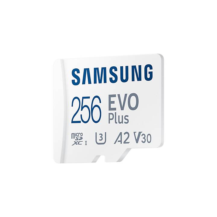SAMSUNG MicroSDXC EVO Plus (Video Class 10, UHS-I Class 1, Class 10, A1, 256 Go, 130 Mo/s)