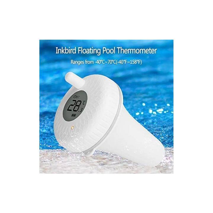 INKBIRD Termometro da piscina IBS-P01R