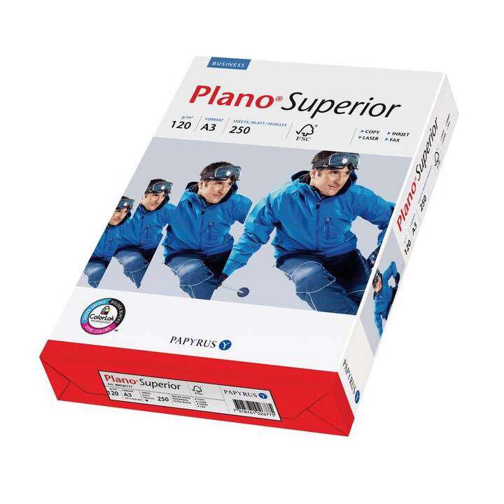 PAPYRUS PlanoSuperior Kopierpapier (250 Blatt, A3, 120 g/m2)