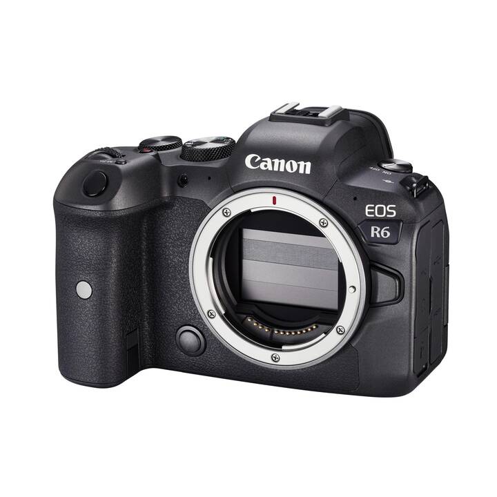 CANON EOS R6 + RF 50mm F1.8 STM + SD-Card 32GB Kit (20.1 MP, Pieno formato)