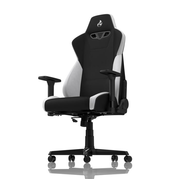 NITRO CONCEPTS Gaming Chaise S300 (Noir, Blanc)