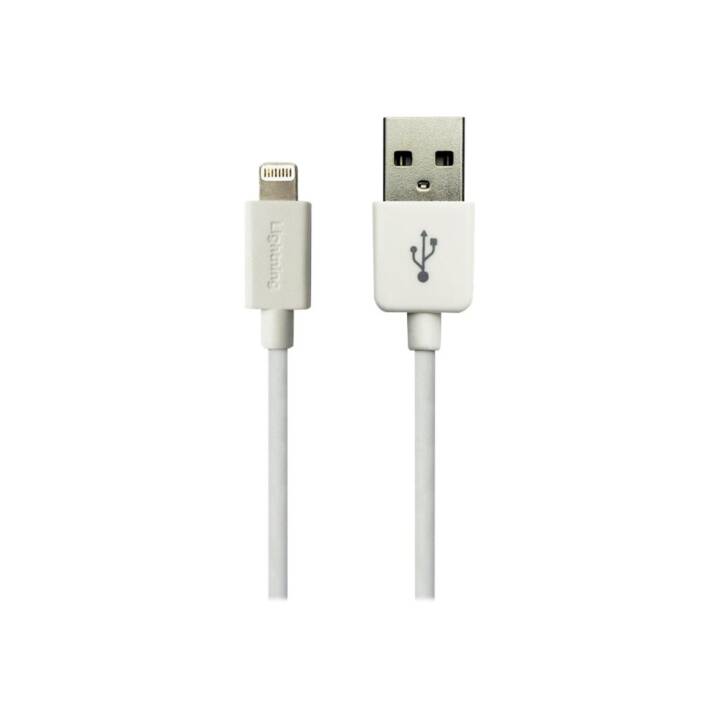 SANDBERG Câble USB (Lightning, USB 2.0 de type A, 1 m)