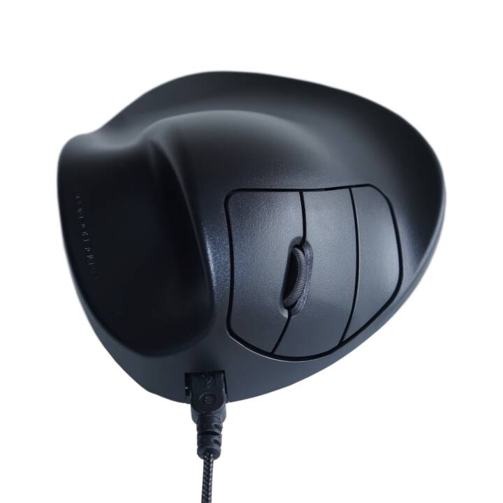 EVOLUENT BNEP190L Mouse (Cavo, Office)