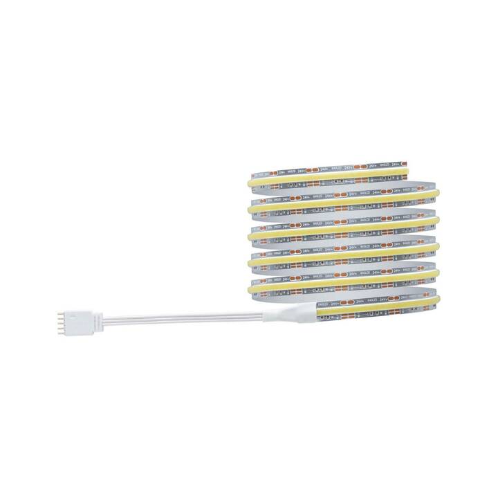 INTERTRONIC RGB LED Strip LED Light-Strip (5 m) - Interdiscount
