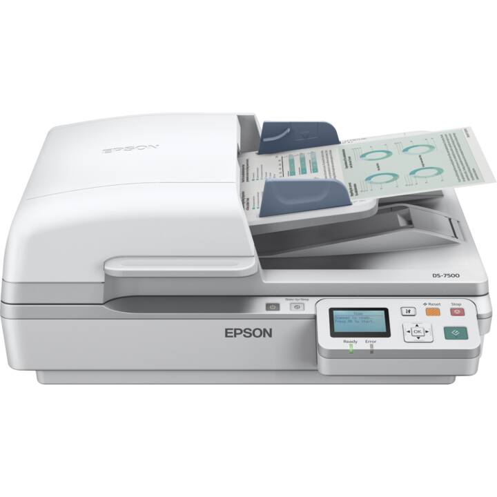 Forza lavoro EPSON DS-6500N