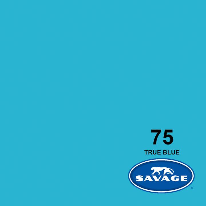 SAVAGE Arrière-plan photo (Bleu, 2.72 x 11 m)