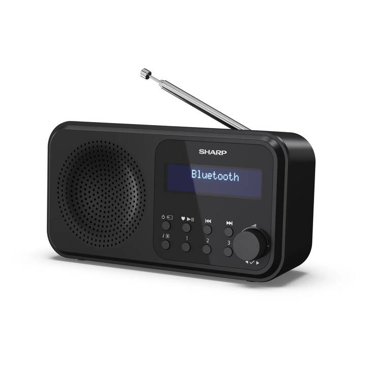 SHARP DR-P420 Digitalradio (Schwarz)