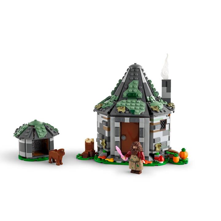 LEGO Harry Potter La cabane de Hagrid: une visite inattendue (76428)