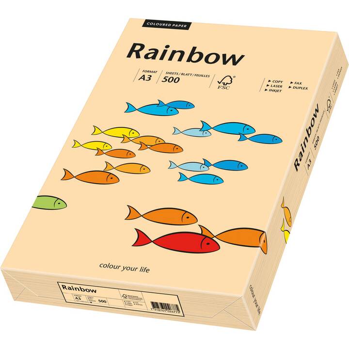 PAPYRUS Rainbow Carta colorata (500 x 500 pezzo, A3, 80 g/m2)