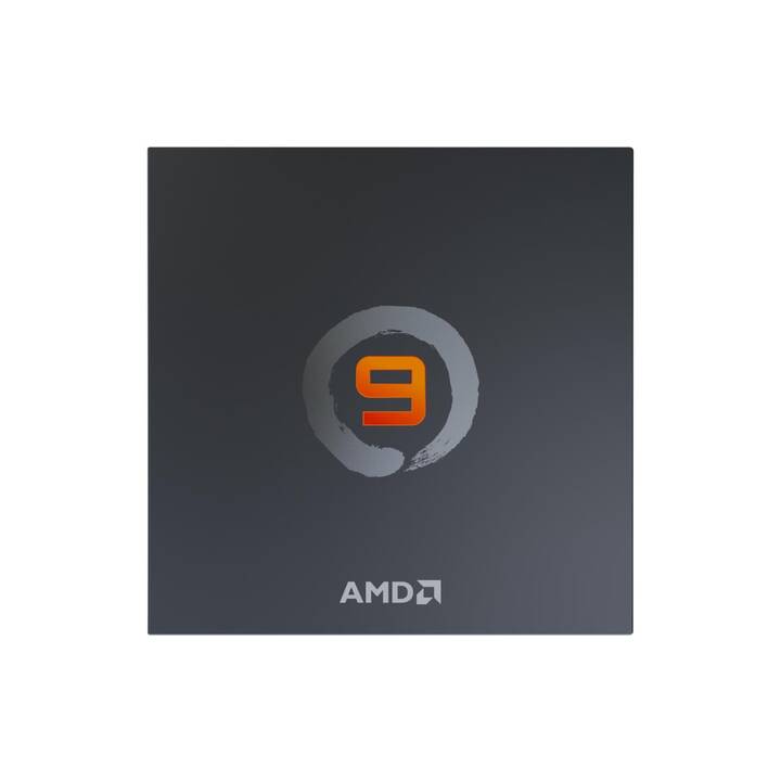 AMD Ryzen 9 7900 (AM5, 3.7 GHz)
