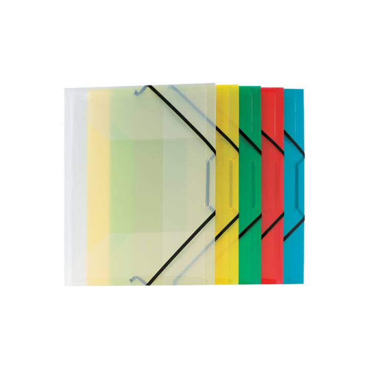 VIQUEL S.A.S Cartellina con elastico (Transparente, A4, 1 pezzo)