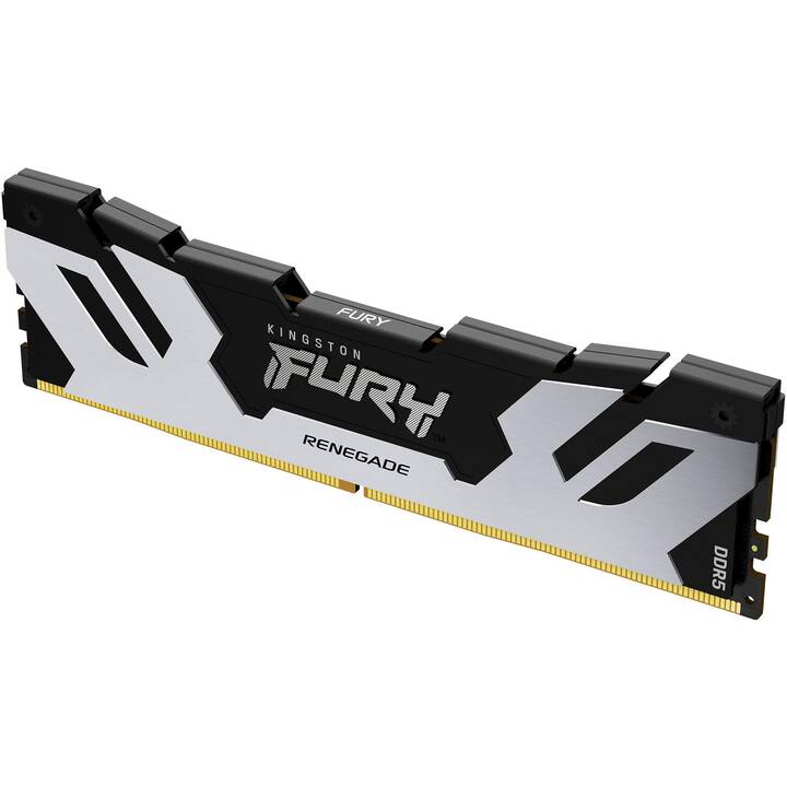 KINGSTON TECHNOLOGY FURY Renegade KF560C32RS-48 (1 x 24 Go, DDR5 6000 MHz, DIMM 288-Pin)