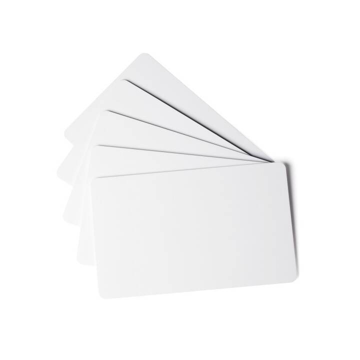 DURABLE Duracard Light Cartes de visite (100 feuille, 53.98 x 86.6 mm)