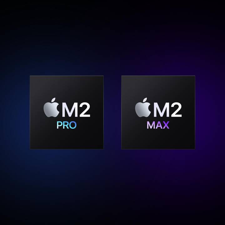 APPLE MacBook Pro 2023 (14.2", Apple M2 Pro 12-Core Chip, 32 GB RAM, 2000 GB SSD)