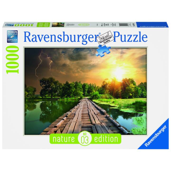 RAVENSBURGER Mystisches Licht Puzzle (1000 x)