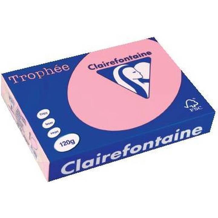 CLAIREFONTAINE Trophée Carta colorata (250 foglio, A4, 120 g/m2)
