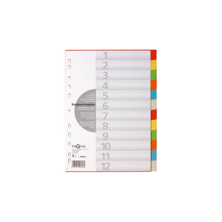 PAGNA Registro (12 x A4, Coloristico)