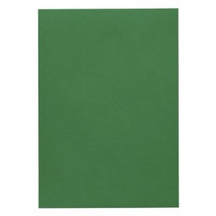 ARTOZ Carta da disegno 1001 (Verde, A4, 5 pezzo)