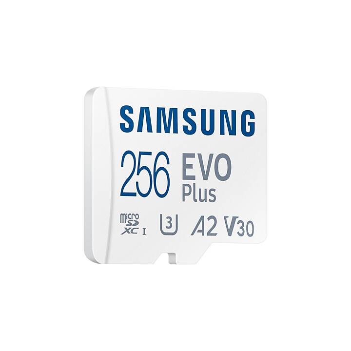 SAMSUNG MicroSDXC EVO Plus (Video Class 10, UHS-I Class 1, Class 10, A1, 256 GB, 130 MB/s)