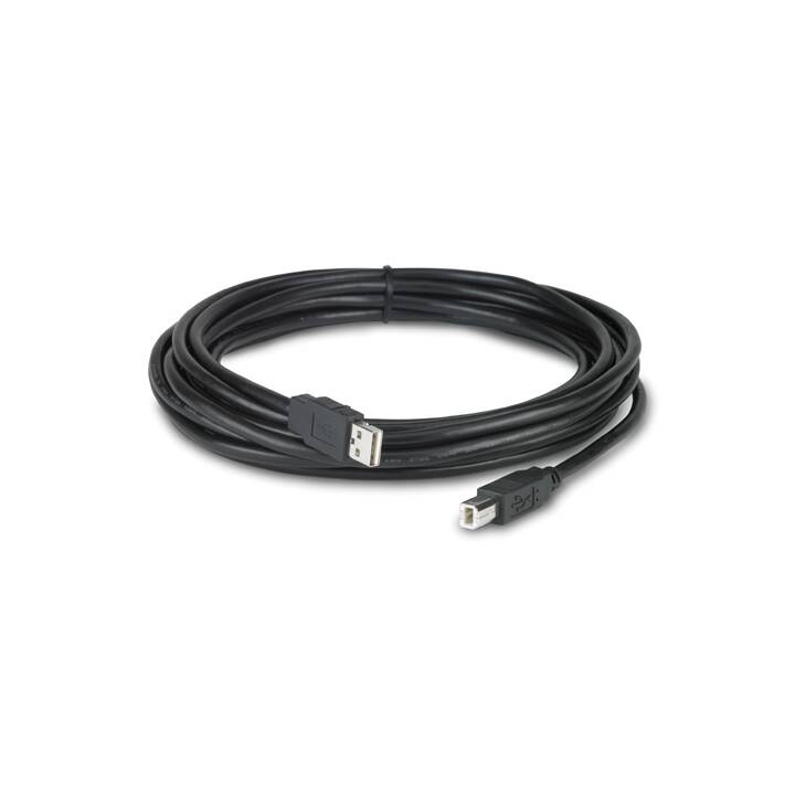 APC USB-Kabel (USB Typ-B, USB Typ-A, 5 m)