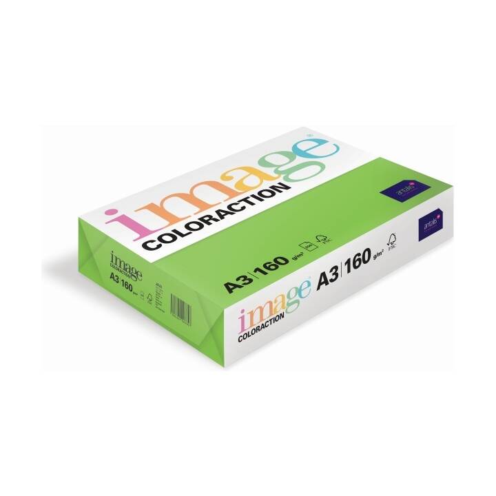 IMAGE Coloraction Carta colorata (250 foglio, A3, 120 g/m2)