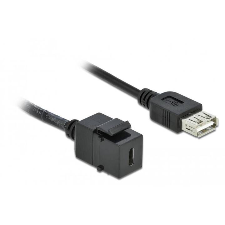 DELOCK Verbindungskabel (USB C, USB 2.0 Typ-A, 0.25 m)