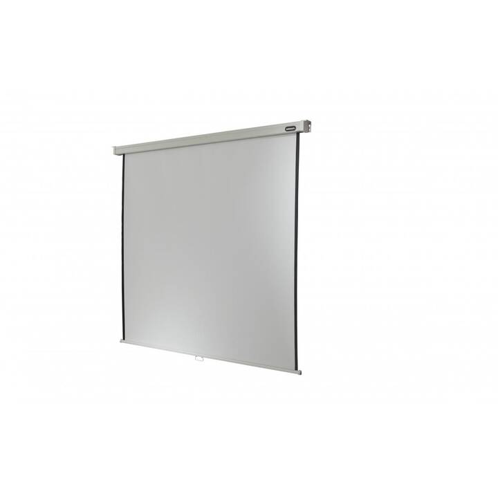 CELEXON Einbau-Leinwand handbetrieben Professional Plus (339 cm, 1:1)