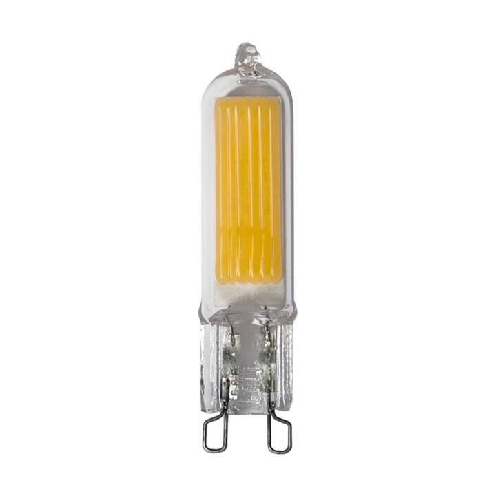 STAR TRADING Ampoule LED Halo  (G9, 3.5 W)