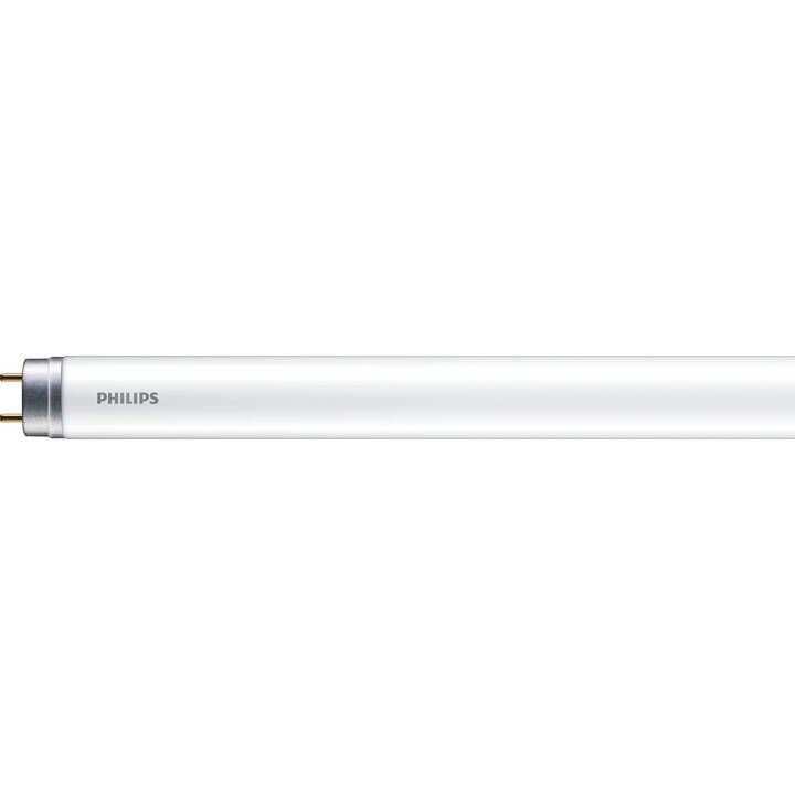 PHILIPS LED Röhre (G13, 800 lm, 8 W)