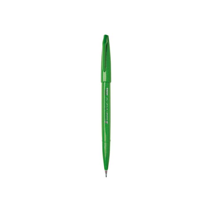 PENTEL Sign Pen Crayon feutre (Vert, 1 pièce)