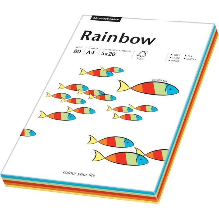 PAPYRUS Rainbow Papier couleur (100 feuille, A4, 80 g/m2)