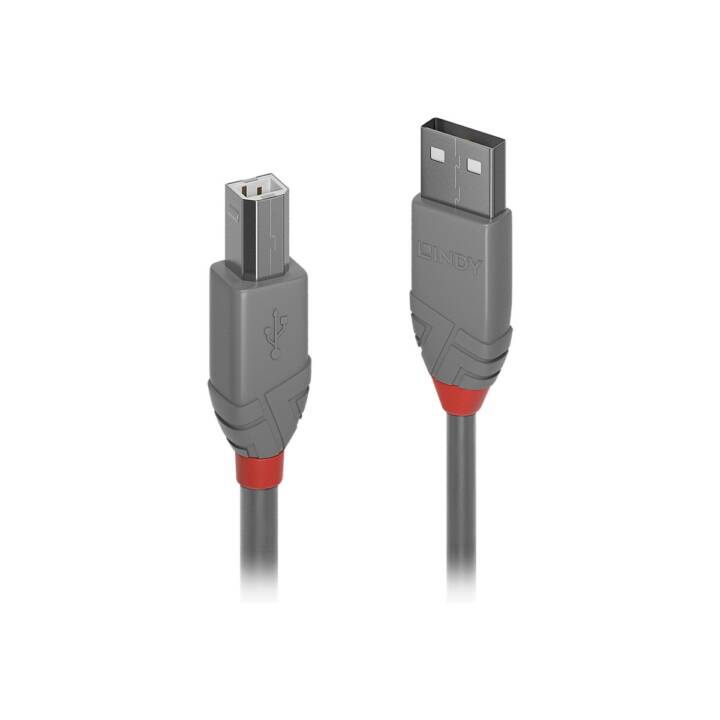 LINDY Câble USB (USB 2.0 Type-B, USB 2.0 Type-A, 1 m)